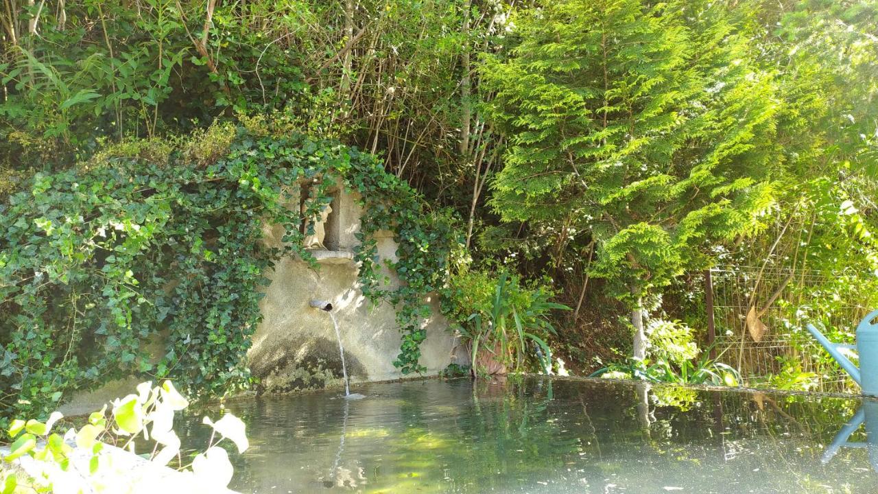 Casal Dos Zimbros Villa Corticos Exteriör bild